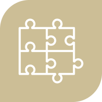 Access icon