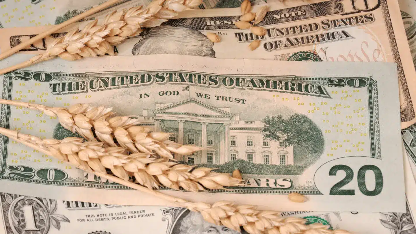 USD and Wheat